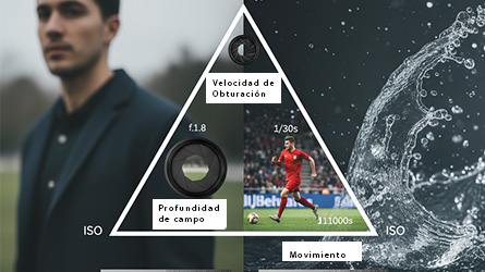 Otiwi Anayansi Renedo El Triángulo de Exposición